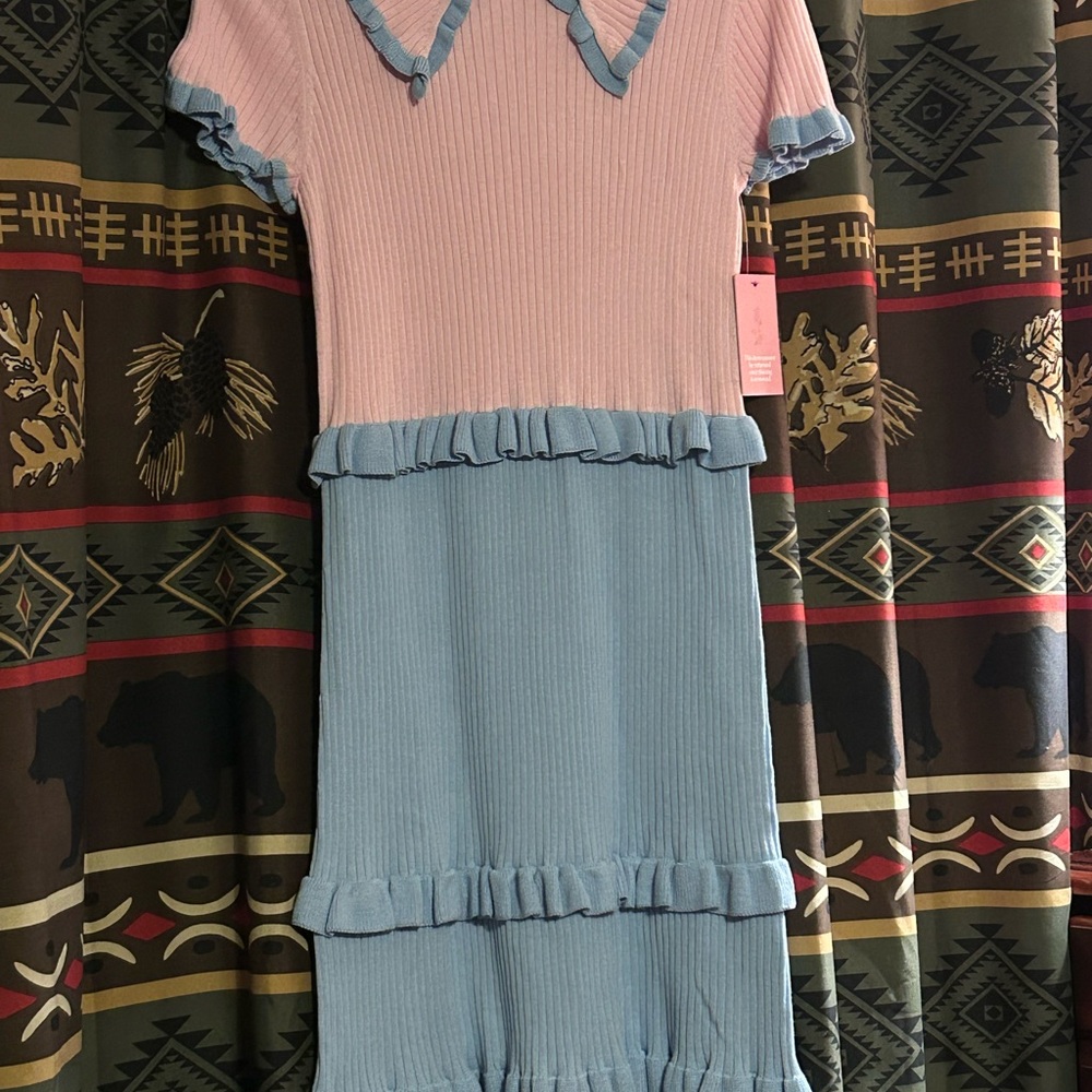 Ivy City Co Pink and Blue Ruffle Courtney dress NWT small
